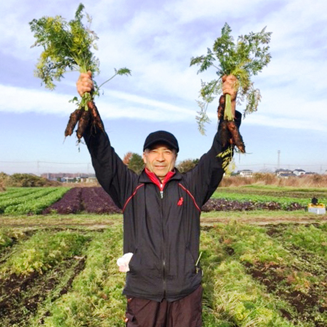 茨城県筑西市のふるさと納税 【 定期便 年4回お届け！】四季の 有機野菜 色とりどりセット 野菜 野菜セット 詰め合わせ 有機 無農薬 JAS認定 無化学肥料 おまかせ 野菜スティック レインボーフューチャー [AL001ci]