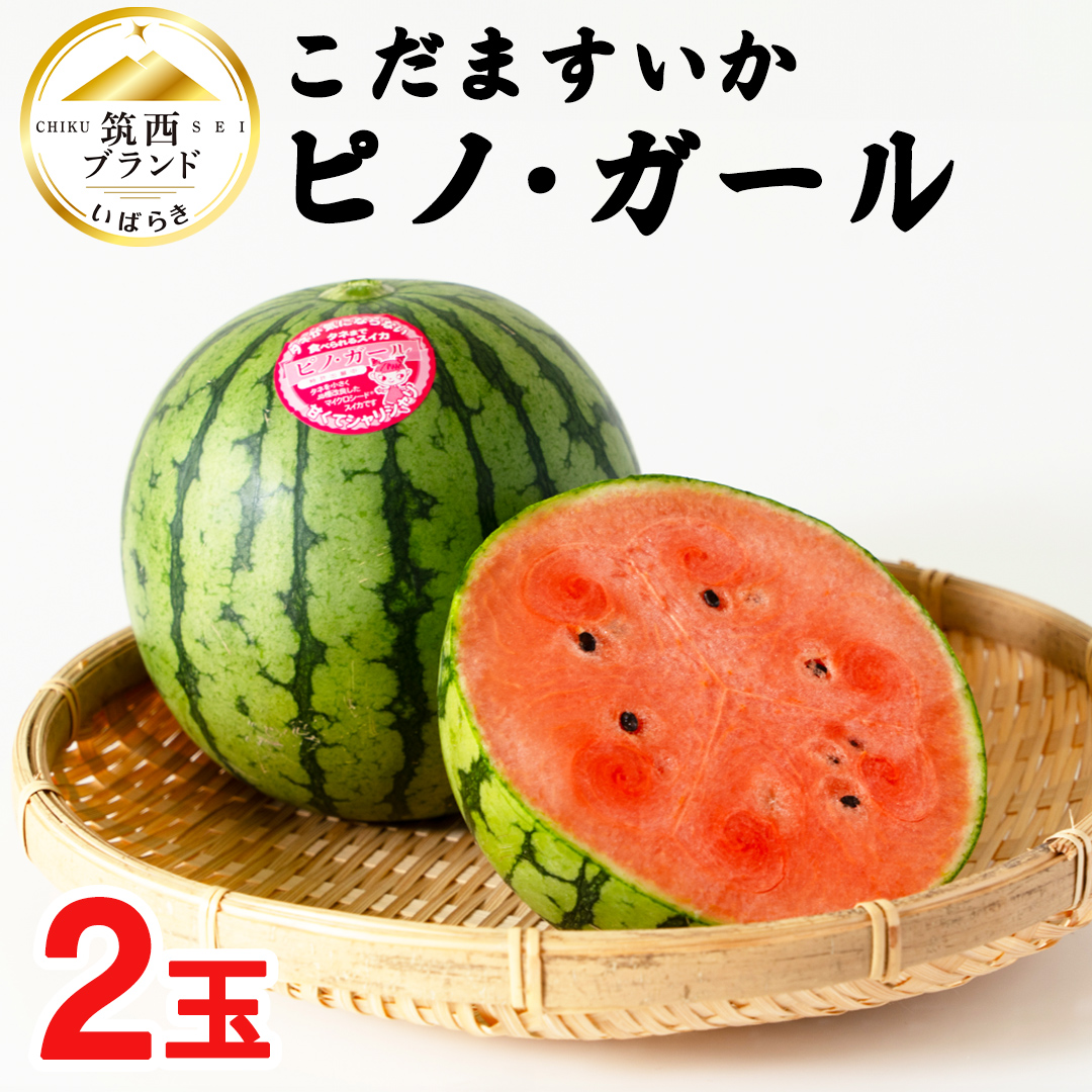 楽天市場】【送料無料】 茨城県産 すいか 小玉すいか（こだま