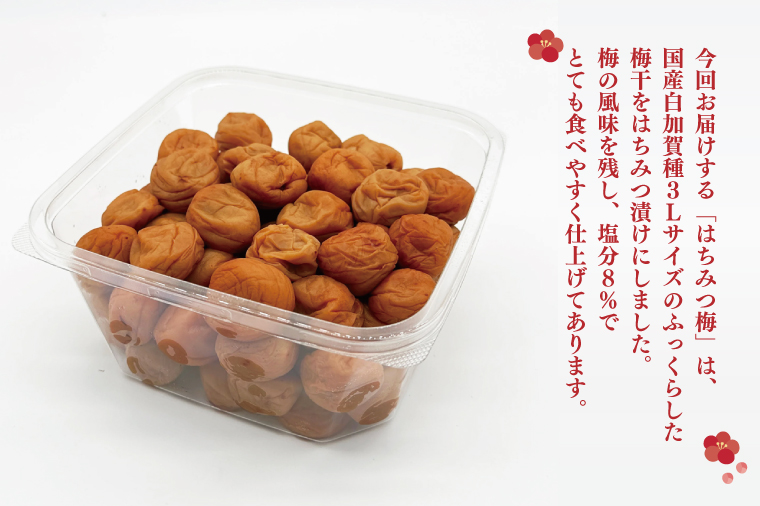 干し梅さん専用　正平革 干し梅さん専用 正平革 干し梅さん専用 正平革