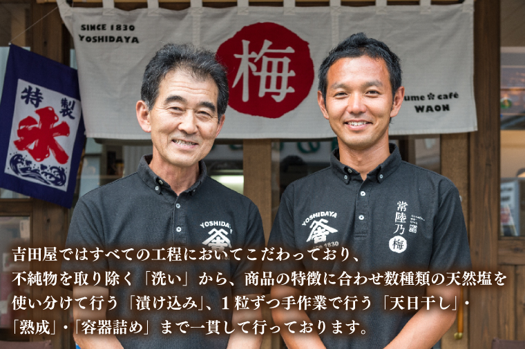 干し梅さん専用 正平革 干し梅さん専用 正平革