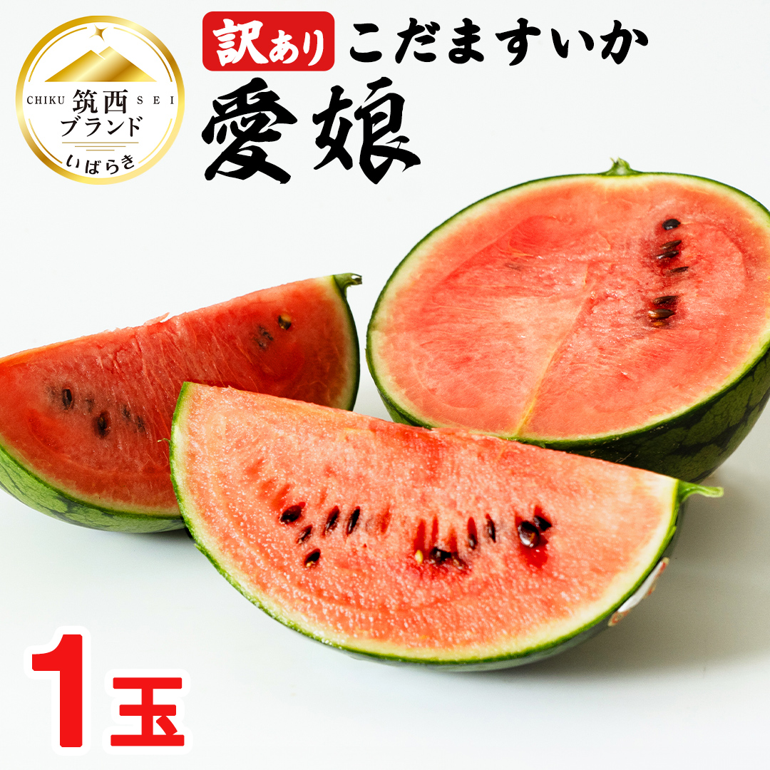 茨城県筑西市のふるさと納税 【 訳あり 】 こだますいか 「 愛娘 」 1玉 2025年産 先行予約 筑西ブランド こだまスイカ 小玉スイカ すいか スイカ フルーツ 果物 [AF083ci]