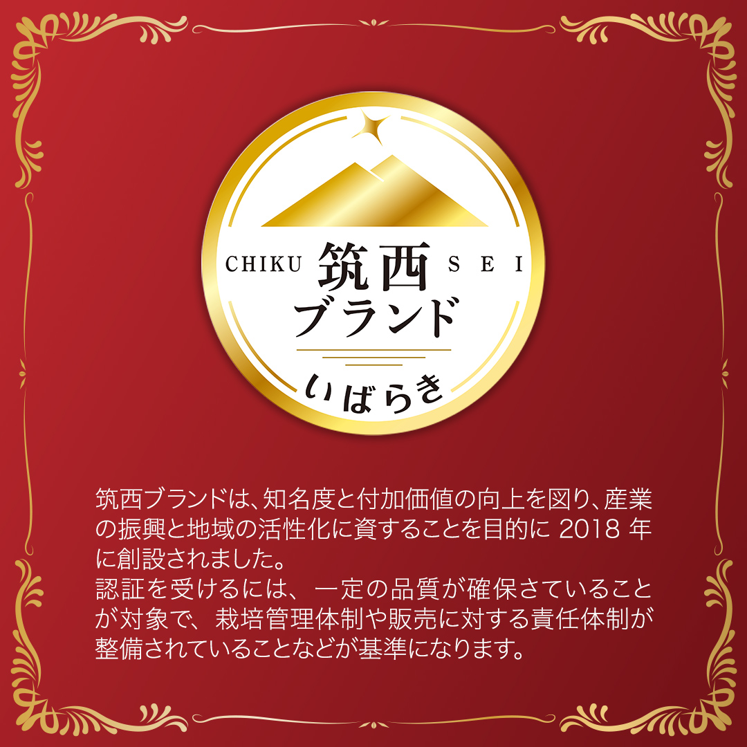 茨城県筑西市のふるさと納税 【 訳あり 】 こだますいか 「 愛娘 」 1玉 2025年産 先行予約 筑西ブランド こだまスイカ 小玉スイカ すいか スイカ フルーツ 果物 [AF083ci]