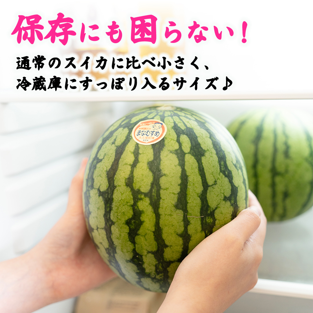 茨城県筑西市のふるさと納税 【 訳あり 】 こだますいか 「 愛娘 」 1玉 2025年産 先行予約 筑西ブランド こだまスイカ 小玉スイカ すいか スイカ フルーツ 果物 [AF083ci]