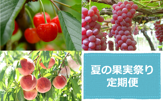 【令和7年産先行予約】 《定期便3回》 夏