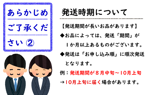 山形県南陽市のふるさと納税 【令和7年産先行予約】 《定期便3回》 夏の果実祭り 『フードシステムズ』 山形県 南陽市 [2260-R7]