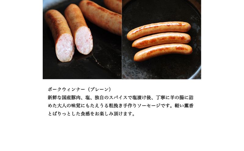 愛知県日進市のふるさと納税 ハム ソーセージ 詰め合わせ スペシャルセット シャルキュトゥリ・コイデ ウィンナー ウインナー ハム 肉 お肉 豚 セット