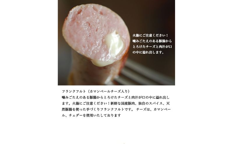 愛知県日進市のふるさと納税 ハム ソーセージ 詰め合わせ スペシャルセット シャルキュトゥリ・コイデ ウィンナー ウインナー ハム 肉 お肉 豚 セット