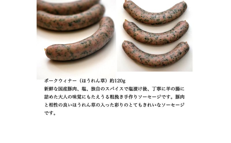 愛知県日進市のふるさと納税 ハム ソーセージ 詰め合わせ スペシャルセット シャルキュトゥリ・コイデ ウィンナー ウインナー ハム 肉 お肉 豚 セット