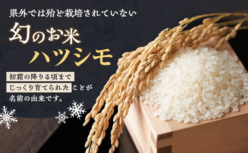 定期便】岐阜県産 ハツシモ 10kg (3ヵ月連続お届け) 米 お米 コメ 白米 精米 ハシツモ 定期便 岐阜 瑞穂市（岐阜県瑞穂市） |  ふるさと納税サイト「ふるさとプレミアム」