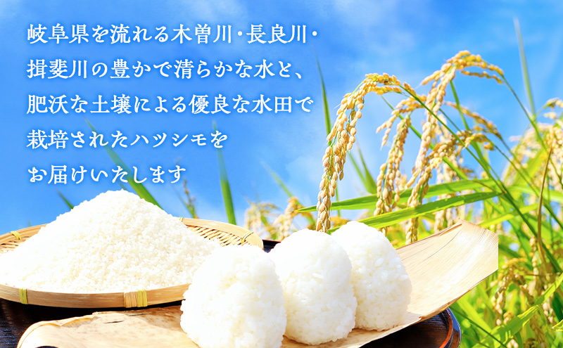 定期便】岐阜県産 ハツシモ 10kg (3ヵ月連続お届け) 米 お米 コメ 白米 精米 ハシツモ 定期便 岐阜 瑞穂市（岐阜県瑞穂市） |  ふるさと納税サイト「ふるさとプレミアム」