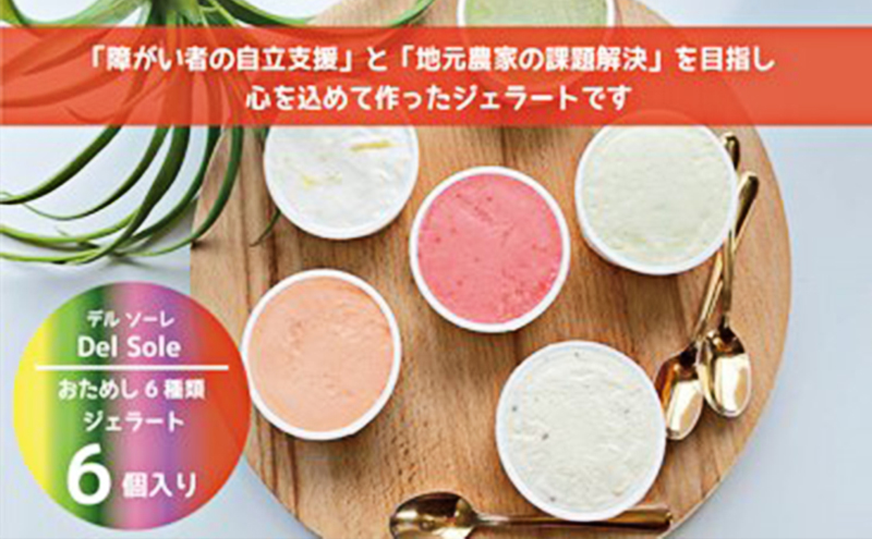 【静岡県袋井市】デルソーレ ジェラート★大人気!旬の6種詰め合せ★(6個入り)セット 袋井市