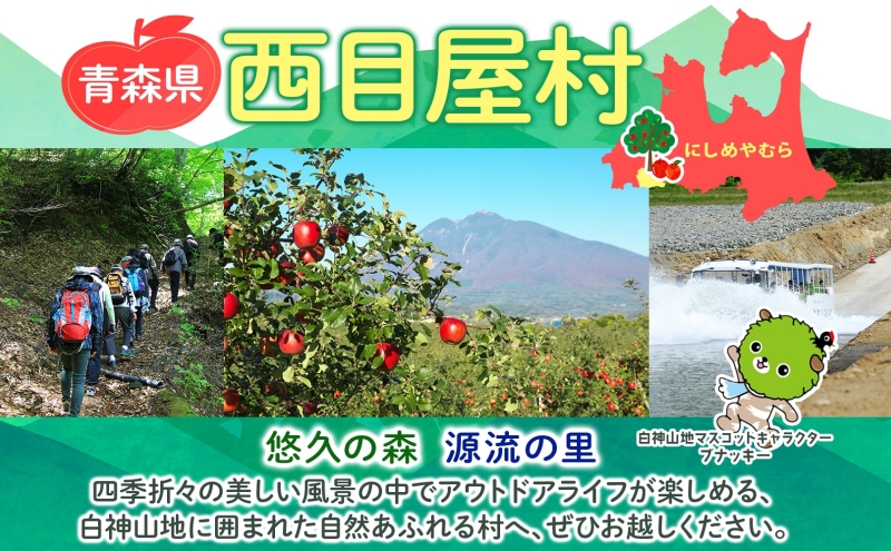 青森県西目屋村のふるさと納税 【2月発送】 家庭用 サンふじ 王林 約5kg りんご 林檎 リンゴ 果物 フルーツ くだもの 旬 青森県産 お取り寄せ 詰め合わせ セット 常温 産地直送 送料無料 青森県 西目屋村