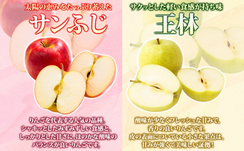 青森県西目屋村のふるさと納税 【3月発送】 家庭用 サンふじ 王林 約5kg りんご 林檎 リンゴ 果物 フルーツ くだもの 旬 青森県産 お取り寄せ 詰め合わせ セット 常温 産地直送 送料無料 青森県 西目屋村