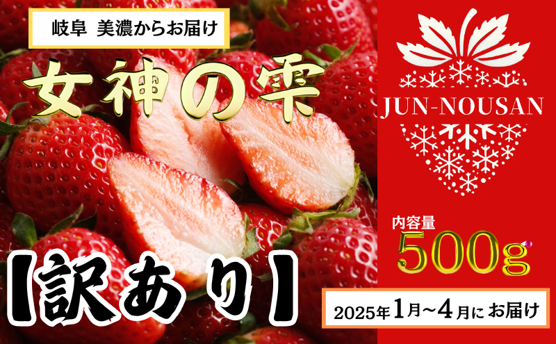 岐阜県美濃市のふるさと納税 【訳あり】いちご/2025年1月から3月/250g×2パック/岐阜県美濃市産/