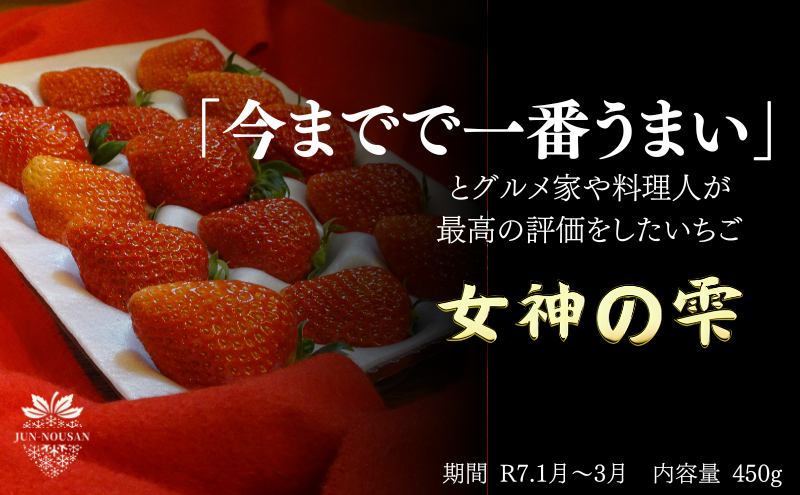 岐阜県美濃市のふるさと納税 「今までで1番旨い」とグルメ家がうなったイチゴ【女神の雫】/2025年1月から3月/450g/岐阜県/美濃市/じゅん農産/1