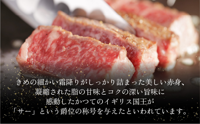 佐賀県大町町のふるさと納税 佐賀牛サーロインステーキ 600g (200g×3枚)／ ふるさと納税 お肉 肉 焼肉 焼き肉 ロース スライス ステーキ 切り落とし サーロイン 冷蔵 ギフト 贈り物 贈答品