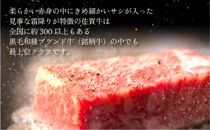 佐賀県大町町のふるさと納税 佐賀牛サーロインステーキ 600g (200g×3枚)／ ふるさと納税 お肉 肉 焼肉 焼き肉 ロース スライス ステーキ 切り落とし サーロイン 冷蔵 ギフト 贈り物 贈答品