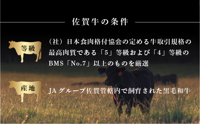 佐賀県大町町のふるさと納税 佐賀牛サーロインステーキ 600g (200g×3枚)／ ふるさと納税 お肉 肉 焼肉 焼き肉 ロース スライス ステーキ 切り落とし サーロイン 冷蔵 ギフト 贈り物 贈答品