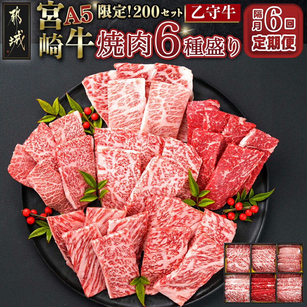 ≪限定200セット≫隔月6回お届け![宮崎牛A5]焼肉6種盛り(乙守牛)_T180