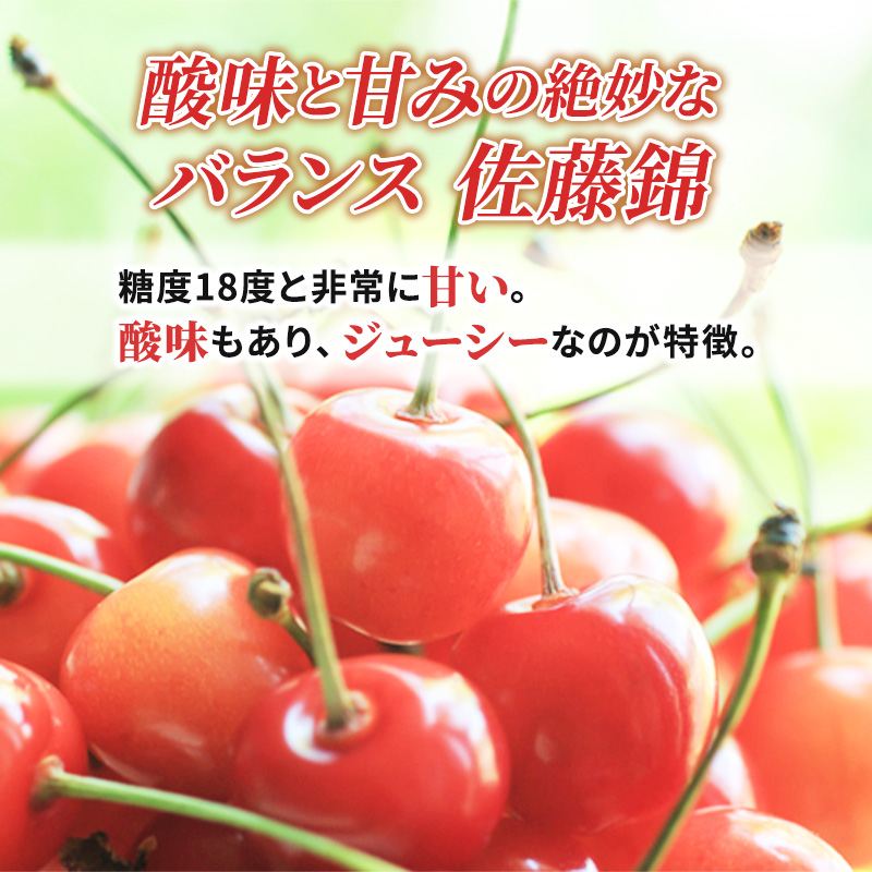 果物 mokochin 明治チューインガム株式会社 もぎもぎフルーツグミ 21g×12×108個