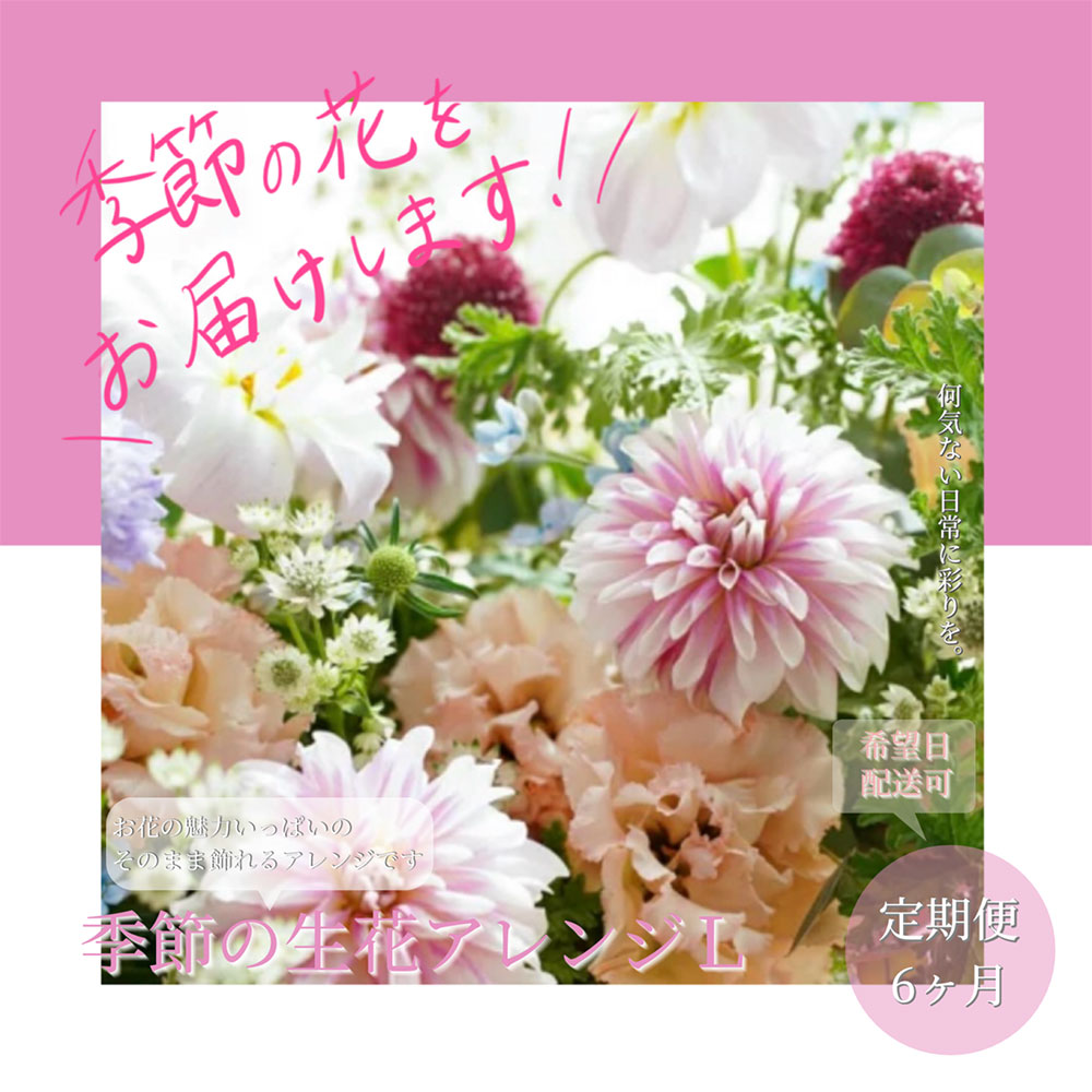 【高知県芸西村】【CF-R5cbs】t164tmf 《6ヵ月定期便》おすすめ生花アレンジメントL 定期便 定期コース 全6回 フラワーアレンジメント そのまま飾れる 生花 花束 花 お花 おすすめ 可愛い キレイ おしゃれ 季節のお花 供花 お供え