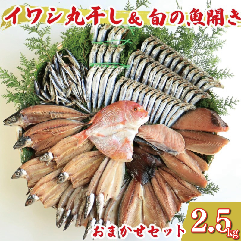 【愛媛県愛南町】訳あり 魚の 丸干し & 開き おまかせ セット 2.5kg 10000円 魚 海鮮 干物 無添加 ひもの ひらき 詰め合わせ 冷凍 丸干し 鯵 アジ 鯖 さば サバ 鰹 かつお カツオ 鯛 たい タイ 鰯 いわし イワシ 切り身 おつまみ おかず 惣菜 人気 珍味 グルメ 規格外  国産