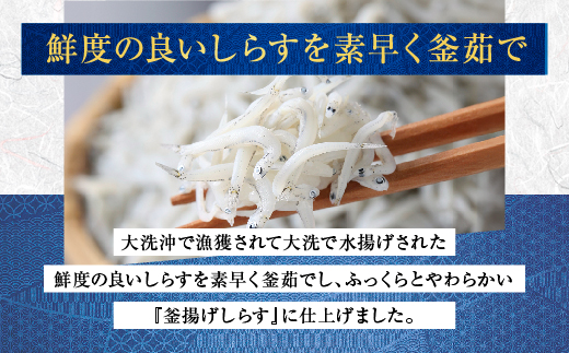 茨城県大洗町のふるさと納税 釜揚げしらす 6パック ( 160g × 6パック ) 約 1kg 天然 大洗 しらす シラス 魚 さかな 離乳食