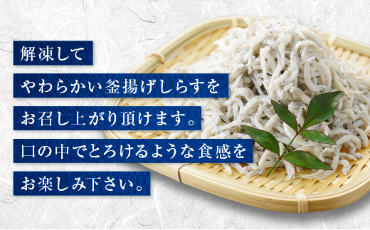 茨城県大洗町のふるさと納税 釜揚げしらす 6パック ( 160g × 6パック ) 約 1kg 天然 大洗 しらす シラス 魚 さかな 離乳食