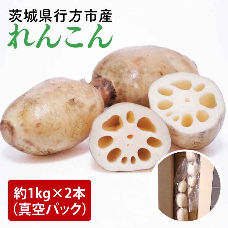 2025年9月中旬より順次発送】【真空パック】【洗い】「横瀬農園の