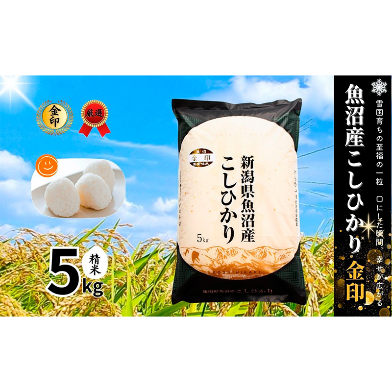 令和6年産】魚沼産コシヒカリ金印(精米)5kg 米 お米 こしひかり