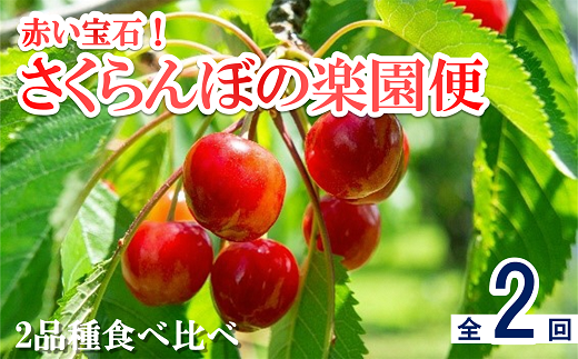 【令和7年産先行予約】 《定期便2回》 赤