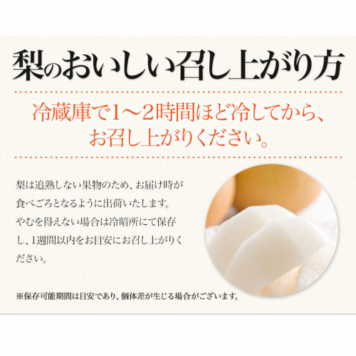 熊本県長洲町のふるさと納税 【2025年 先行予約 】梨 くまもと梨 秋 旬 なし 季節限定 幸水 豊水 先行 果物 くだもの フルーツ ナシ 梨 先行予約 送料無料 あきづき 甘太 新高 新興 約3.5kg 5玉～15玉前後 熊本県産【着日指定不可】《2025年8月下旬‐11月中旬頃より出荷》旬 果物 お取り寄せ ギフト 贈答