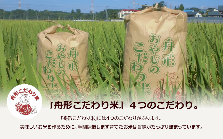 山形県舟形町のふるさと納税 【無洗米】つや姫10kg（5kg×2袋）　令和6年産米