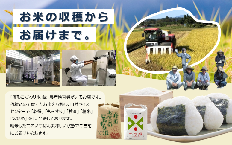 山形県舟形町のふるさと納税 【無洗米】つや姫10kg（5kg×2袋）　令和6年産米