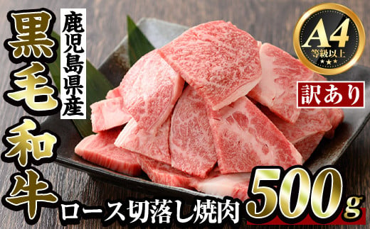 [訳あり・不揃い]鹿児島県産黒毛和牛[A4等級以上]ロース切り落とし焼肉(500g)[ビーフ倉薗]霧島市 牛肉 ヤキニク 焼き肉 国産 鹿児島県産 黒毛和牛 肉 精肉 牛