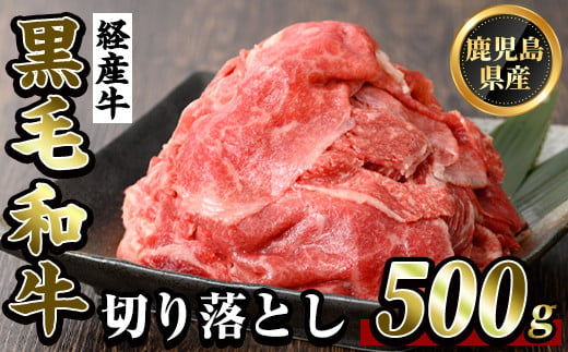 鹿児島県産黒毛和牛(経産牛)おためし切り落とし(500g)[ビーフ倉薗]霧島市 牛肉 スライス 切落し 国産 鹿児島県産 黒毛和牛 肉 精肉 牛