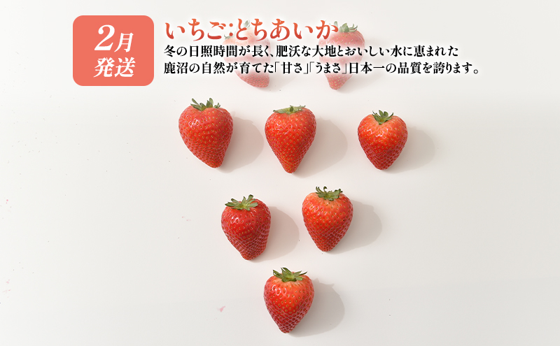 栃木県鹿沼市のふるさと納税 【 定期便 2回 】 大玉な梨 にっこり 2玉 約2kg と いちご市 鹿沼の 美味しい 「い」「ち」「ご」 とちあいか 15粒入り260g 2パック のフルーツ 定期便【発送予定】 11月 2月 梨 いちご 甘い 鹿沼市 かぬま