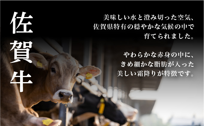 佐賀県大町町のふるさと納税 佐賀牛コウネちゃん 500g