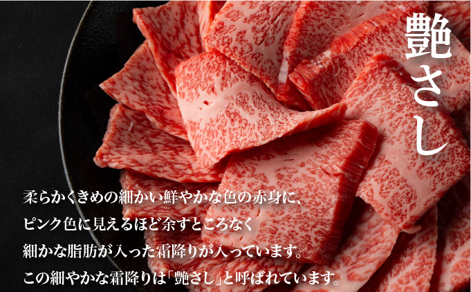 佐賀県大町町のふるさと納税 佐賀牛コウネちゃん 500g