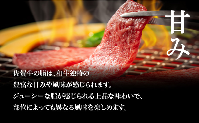 佐賀県大町町のふるさと納税 佐賀牛コウネちゃん 500g