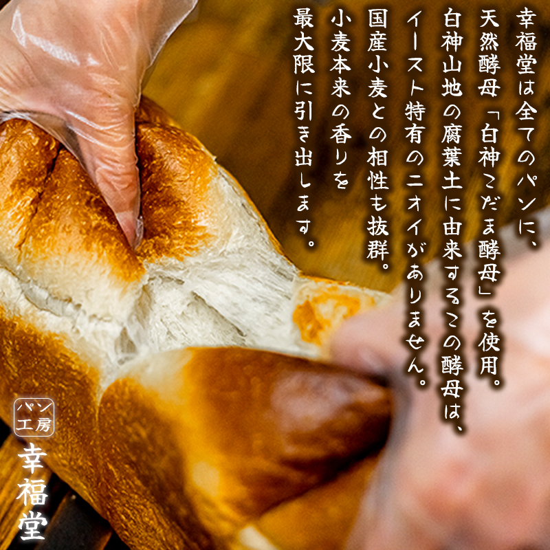 天然酵母のパンセット 5種9個 国産小麦粉 米粉 天然酵母 食パン