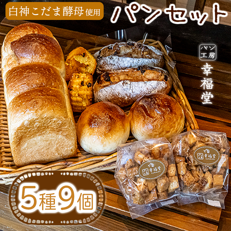 天然酵母のパンセット 5種9個 国産小麦粉 米粉 天然酵母 食パン