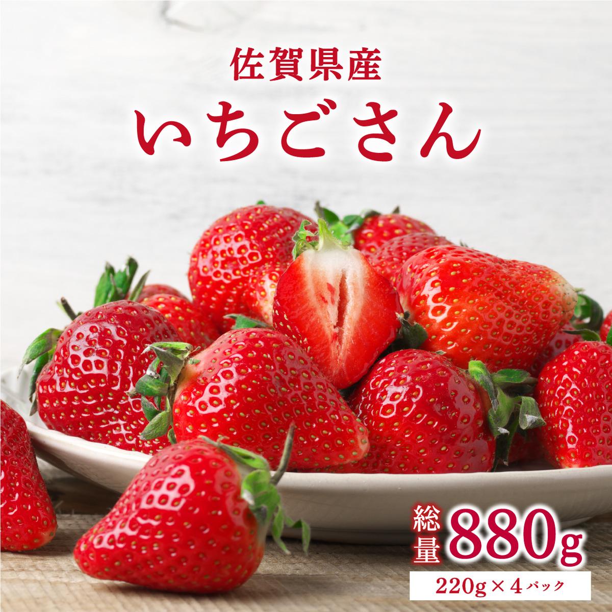 いちごさん 880g (220g×4p)