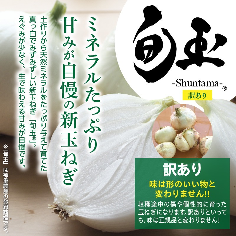 愛知県碧南市のふるさと納税 訳あり 新玉ねぎ 生がおいしい 神重農産のブランド玉ねぎ「旬玉」5kg ブランド玉ねぎ 玉ねぎ 国産 愛知県産 野菜 やさい 農家直送 畑直送 旬 期間限定 たまねぎ 先行予約 旬 特産 高評価 高リピート 人気 H105-153