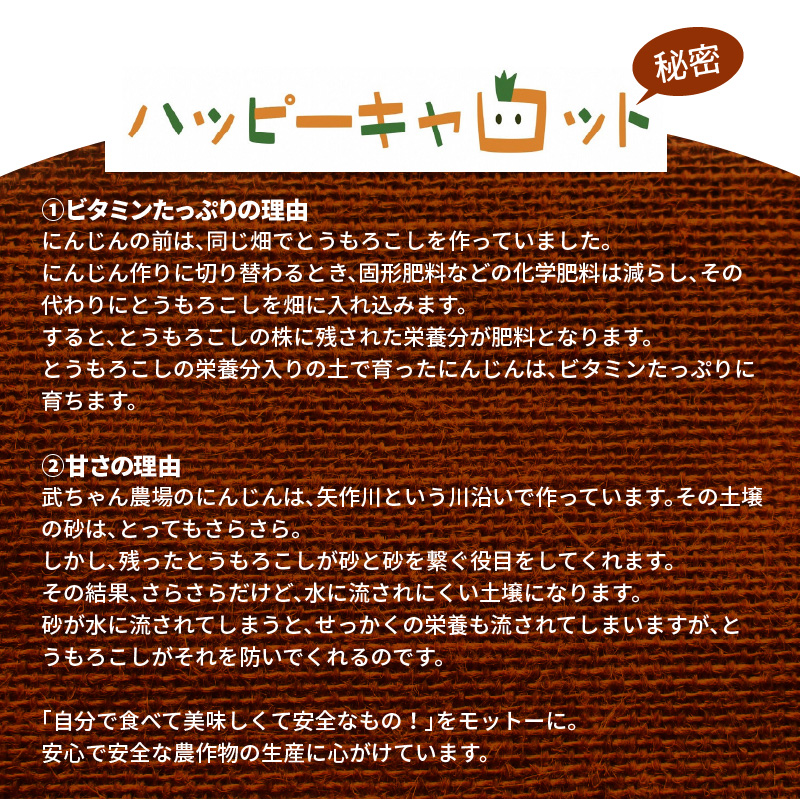 愛知県碧南市のふるさと納税 甘さと栄養で体も笑う武ちゃん農場の“ハッピーキャロット 4kg　H095-021