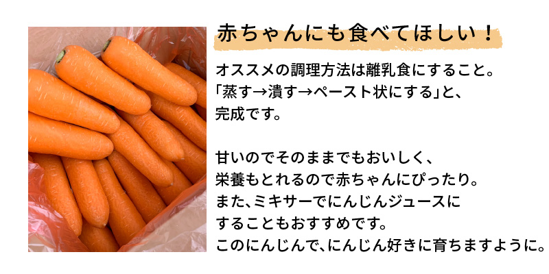 愛知県碧南市のふるさと納税 甘さと栄養で体も笑う武ちゃん農場の“ハッピーキャロット 4kg　H095-021