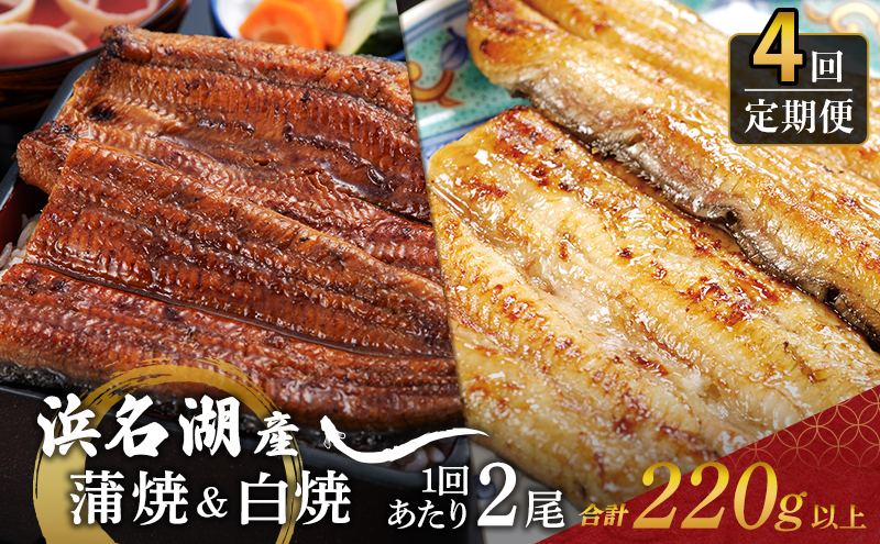 うなぎ 定期便 3ヶ月毎 浜名湖 国産 鰻