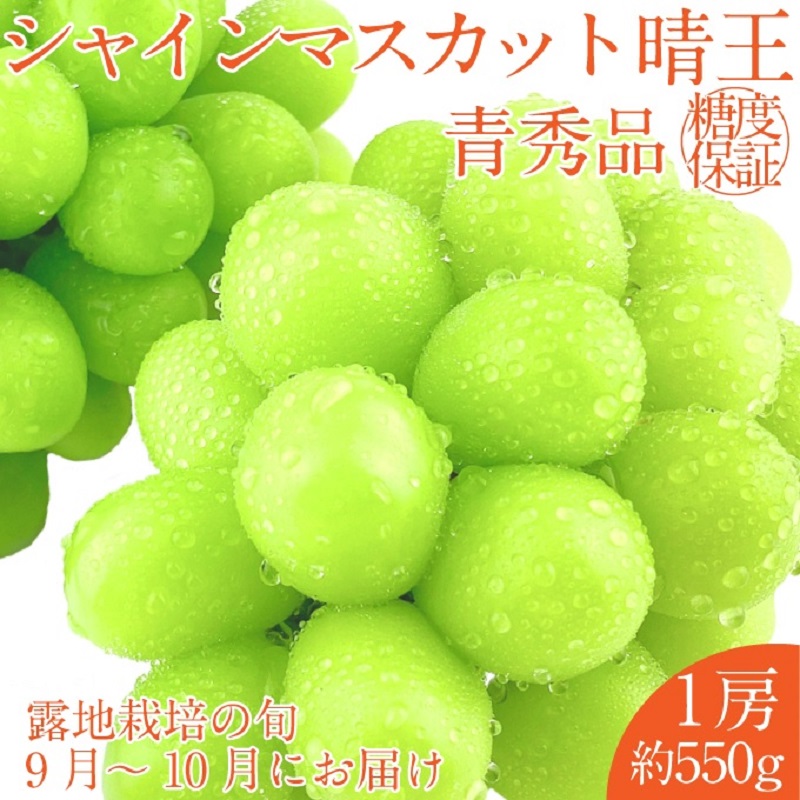 [2025年 予約受付中] シャインマスカット 晴王 1房約550g 9月〜10月出荷/ 岡山県産 種無し 皮ごと食べる みずみずしい フレッシュ 晴れの国 おかやま 果物大国 彩美菜果