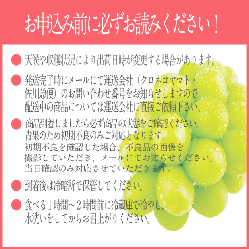 岡山県瀬戸内市のふるさと納税 2025年 予約受付中【2回定期便】 プレミアム シャインマスカット 晴王 1房約620g/ 岡山県 船穂産 赤秀品 種無し 皮ごと食べる みずみずしい 9月10月にお届け フレッシュ 晴れの国 おかやま 果物大国 彩美菜果