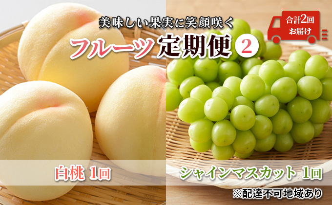 岡山県美咲町のふるさと納税 フルーツ定期便 【2025年 先行予約】 美味しい果実に笑顔咲く 白桃 ・ ぶどう 定期便 -白桃1回／  シャインマスカット 1回 合計2回お届け！ 岡山県産 国産 セット ギフト